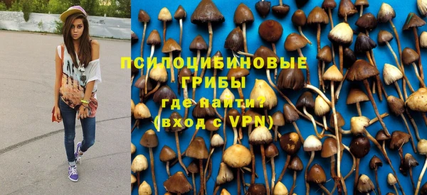 ПСИЛОЦИБИНОВЫЕ ГРИБЫ Алзамай