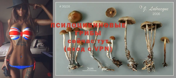 ПСИЛОЦИБИНОВЫЕ ГРИБЫ Алзамай