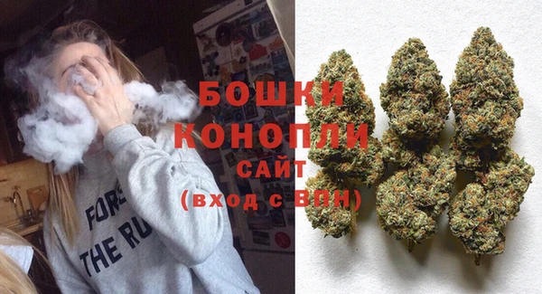 ПСИЛОЦИБИНОВЫЕ ГРИБЫ Алзамай