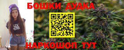 дмт Славгород