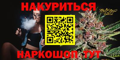 дмт Славгород