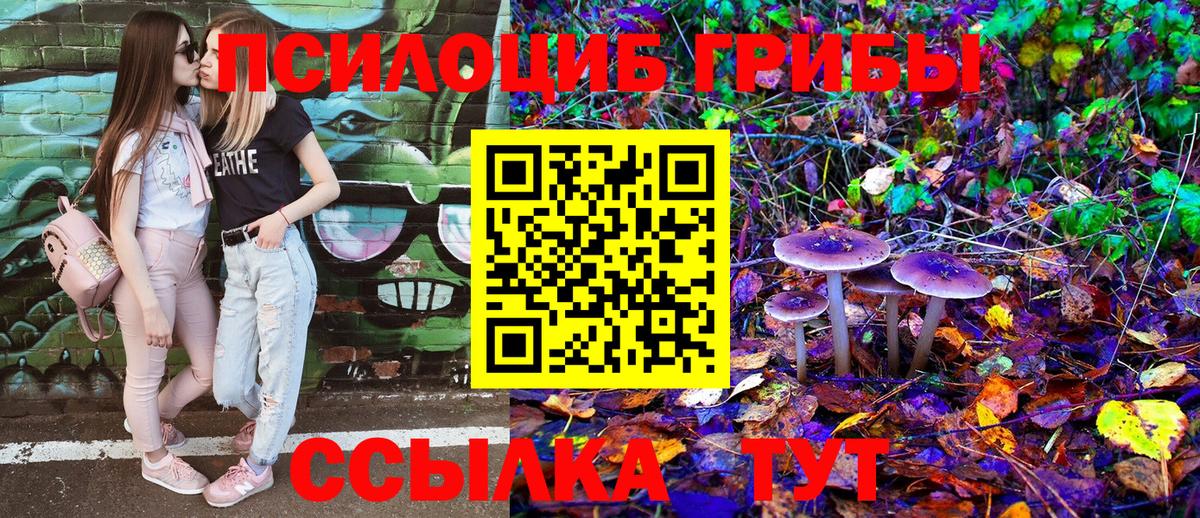 Псилоцибиновые грибы мухоморы Биробиджан