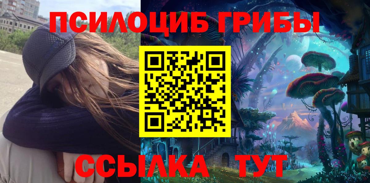 Псилоцибиновые грибы MAGIC MUSHROOMS  Псилоцибиновые грибы прущие грибы  Вход с VPN  Биробиджан 