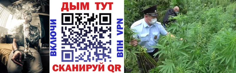 Бошки марихуана White Widow ссылка на мегу зеркало Биробиджан
